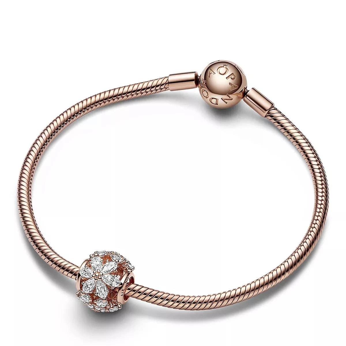 Pandora Funkelndes Herbarium Cluster Runder Charm Clear Anhänger - Image 3