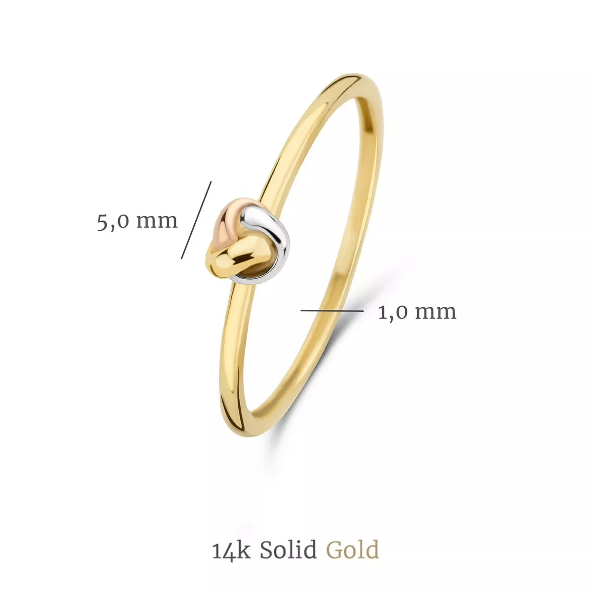 Isabel Bernard Tricolore Maeva 14 Karat Ring Gold Siegelring - Image 3