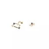 PDPAOLA Earrings LEO Yellow Gold Ohrstecker